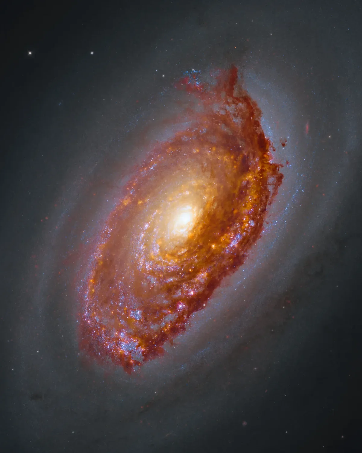 A spiral galaxy seen at an angle, its dust lanes banded in rust and amber around a warm gold core